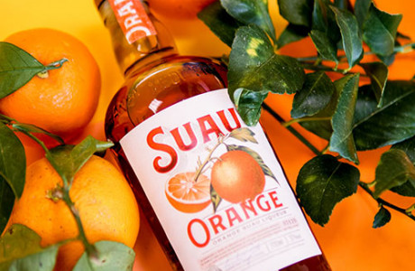Suau Orange: número uno por la revista Mixology -   