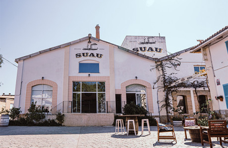 Una visita a la historia de  Mallorca en Bodegas Suau  -   