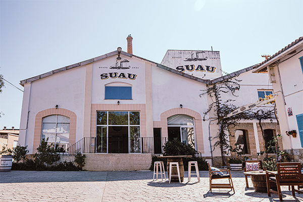 Una visita a la historia de  Mallorca en Bodegas Suau